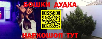 круглые Гусев