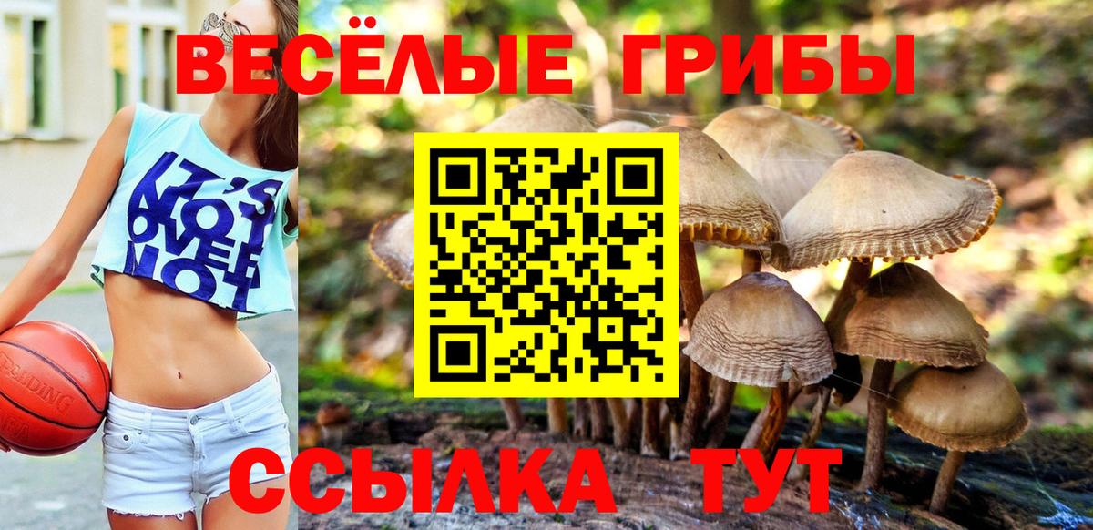 Галлюциногенные грибы MAGIC MUSHROOMS  где купить наркоту  Лосино-Петровский  Вход с VPN 